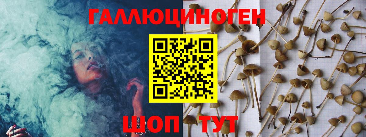 Галлюциногенные грибы Cubensis  Псилоцибиновые грибы Psilocybine cubensis  Вход с VPN  Кимры 